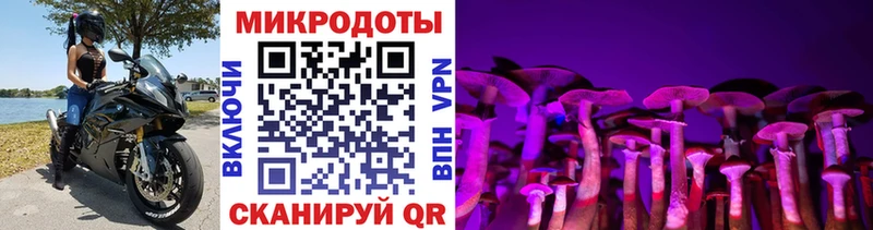 Псилоцибиновые грибы мицелий хочу наркоту Циолковский